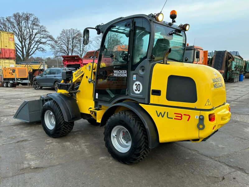 Weidemann Wacker Neuson WL37 ładowarka przegubowa, 2013rok